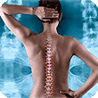 chiropractic_clip_image004.gif
